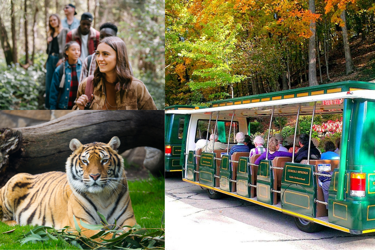 Top 5 Family Attractions in Eureka Springs, AR
